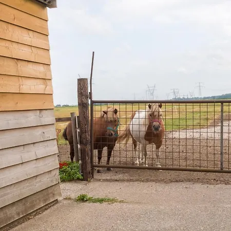 Unique Cabin Studio Country Side * Amsterdam